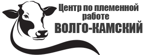 Neteli.ru